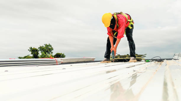 Best Steel Roofing  in Brooklawn, NJ